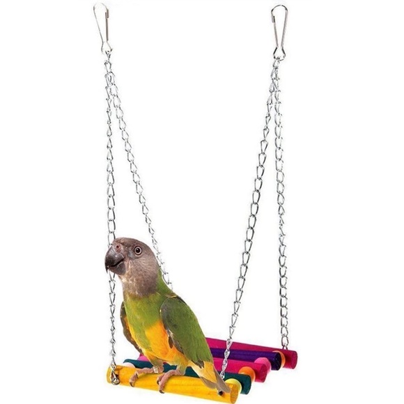 Colorful Bird Swing